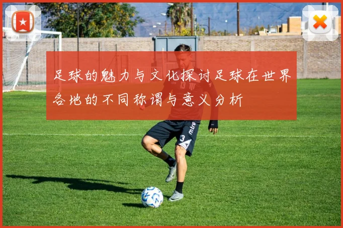 足球的魅力与文化探讨足球在世界各地的不同称谓与意义分析
